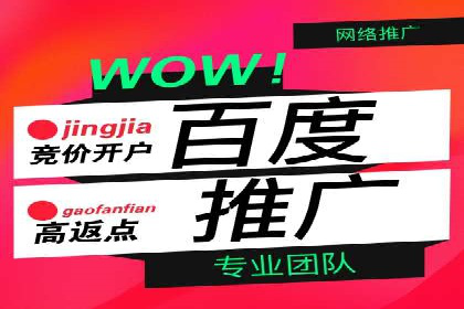 百度推广公司案例展示：揭秘传统行业如何实现互联网转型